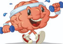 cerveau, aîné, sport, exercice, cardio, santé pour les aîné, le cerveau des aînés