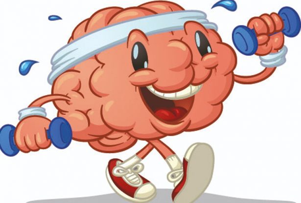 cerveau, aîné, sport, exercice, cardio, santé pour les aîné, le cerveau des aînés