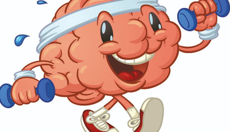 cerveau, aîné, sport, exercice, cardio, santé pour les aîné, le cerveau des aînés