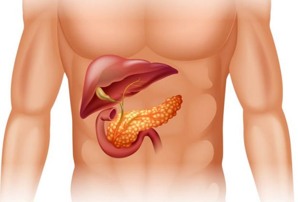 cancer du pancreas, pancréas, le cancer, le pancréas, cancer du pancréas