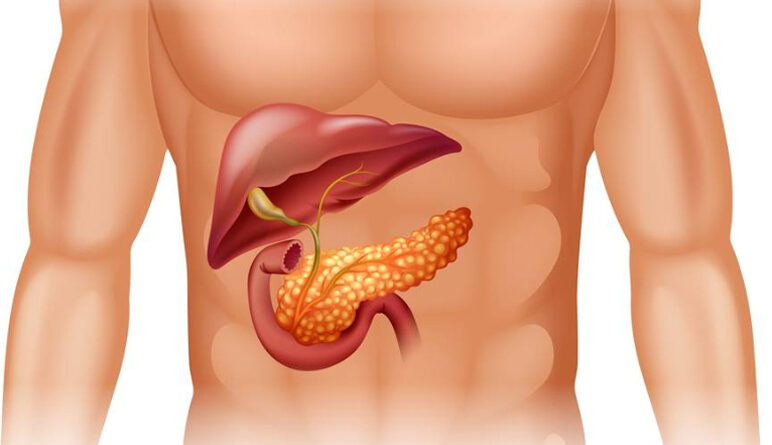 cancer du pancreas, pancréas, le cancer, le pancréas, cancer du pancréas