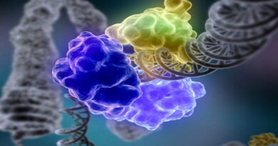 le cancer, alimentation et caner, nutrition et cancer, nourriture et cancer, les aliments transformés