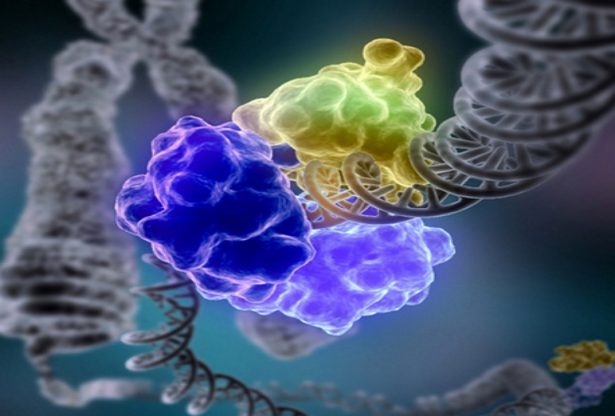 le cancer, alimentation et caner, nutrition et cancer, nourriture et cancer, les aliments transformés