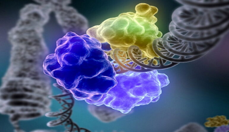 le cancer, alimentation et caner, nutrition et cancer, nourriture et cancer, les aliments transformés