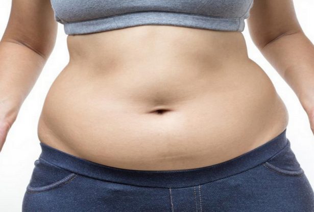 le cancer du sein, le cancer, pourquoi le cancer, la graisse et le cancer