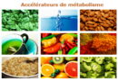 le métabolisme, comment accélérer le métabolisme, comment maigrir