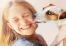 maladies de votre chien, maladies des animaux, les animaux et leurs maladies