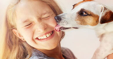 maladies de votre chien, maladies des animaux, les animaux et leurs maladies