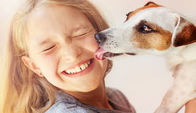 maladies de votre chien, maladies des animaux, les animaux et leurs maladies
