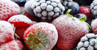 produits surgelés, fruits surgelés