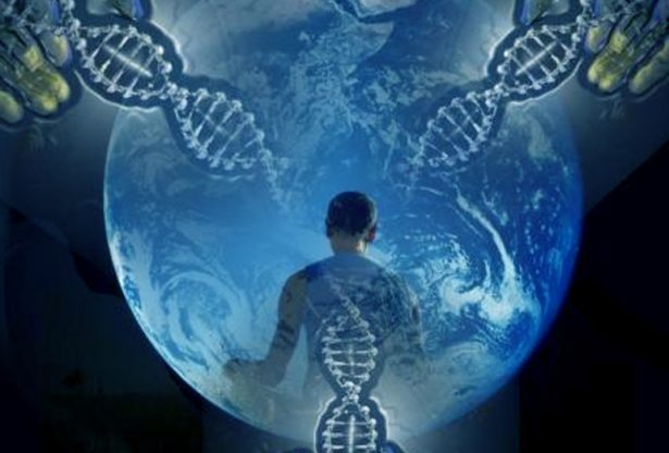 les organes internes, le foie, le coeur, maladies des organes, l'organisme