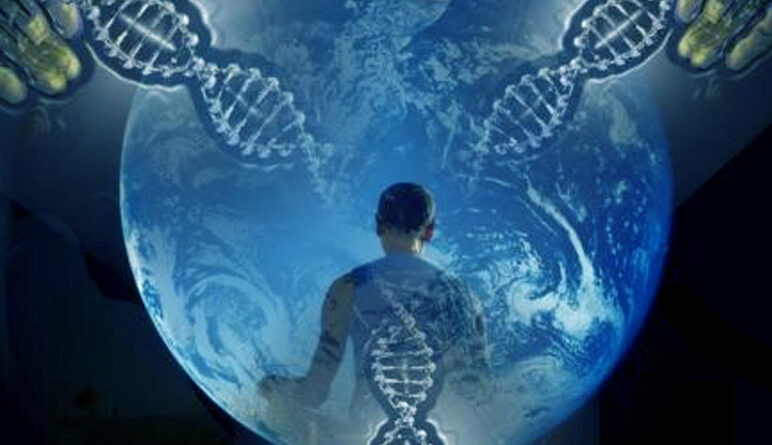 les organes internes, le foie, le coeur, maladies des organes, l'organisme