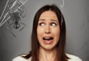 c'est quoi ne phobie, la phobie, peur des instectes, peur de gens, peur d'hauteur, peur d'araignées