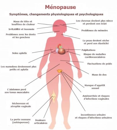 l'hormonothérapie, la ménopause
