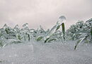 maladies en hiver, la bronchite, la pneumonie, l'arthrite, les maladies d'hiver,