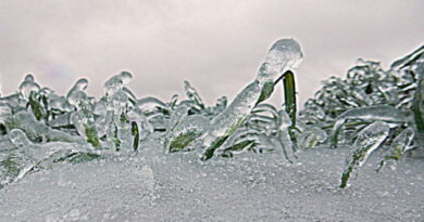 maladies en hiver, la bronchite, la pneumonie, l'arthrite, les maladies d'hiver,
