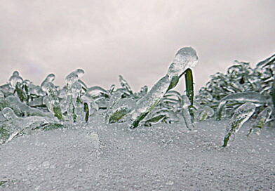 maladies en hiver, la bronchite, la pneumonie, l'arthrite, les maladies d'hiver,