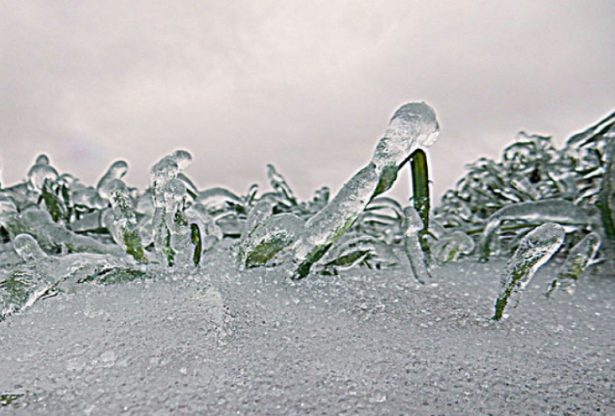 maladies en hiver, la bronchite, la pneumonie, l'arthrite, les maladies d'hiver,