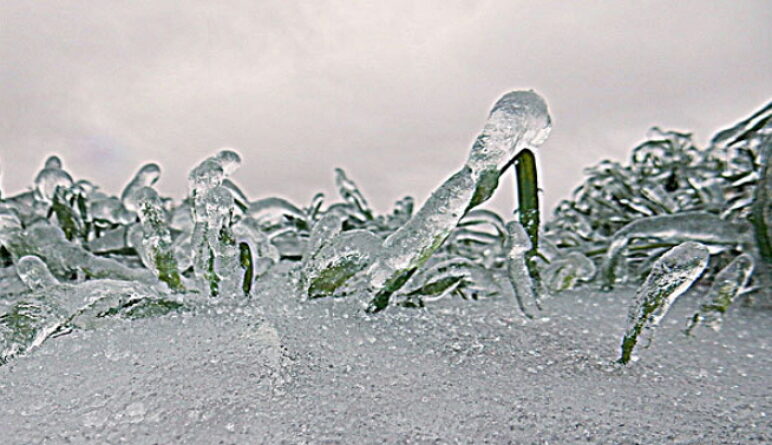 maladies en hiver, la bronchite, la pneumonie, l'arthrite, les maladies d'hiver,