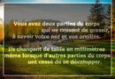 le nez pousse, les oreilles grandissent, les organes poussent