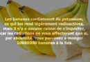 les bananes sont radioactives, les bananes sont nocives, les bananes
