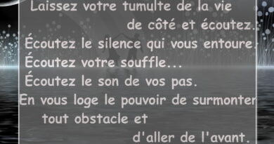 Laissez votre tumulte de la vie de côté et écoutez. Écoutez le silence qui vous entoure... Écoutez votre souffle... Écoutez le son de vos pas. En vous loge le pouvoir de surmonter tout obstacle et d'aller de l'avant.
