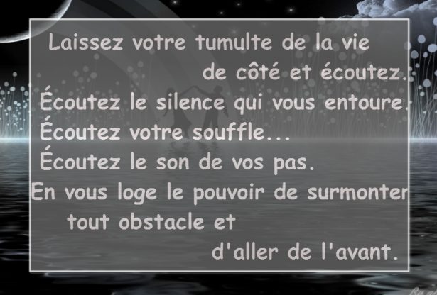 Laissez votre tumulte de la vie de côté et écoutez. Écoutez le silence qui vous entoure... Écoutez votre souffle... Écoutez le son de vos pas. En vous loge le pouvoir de surmonter tout obstacle et d'aller de l'avant.