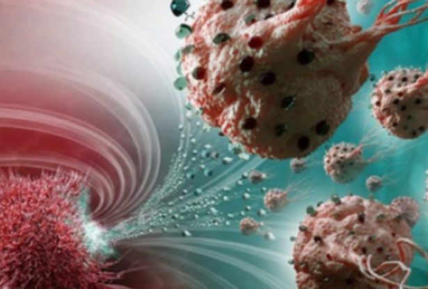 le cancer, traitement du cancer, maladies, comment traiter le cancer, guérir le cancer