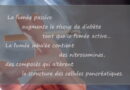 le tabagisme, la fumée passive, la fumée, le tabac, le cancer et le tabagisme, le cancer et le tabac, le diabète
