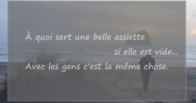 maximes, citations