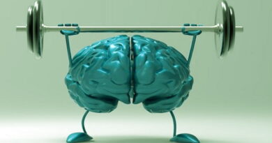 notre cerveau, comment entrainer son cerveau