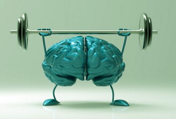 notre cerveau, comment entrainer son cerveau