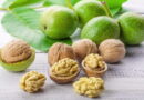 noix, noix de Grenoble, les probiotiques, les prébiotiques, les intestins, microflore,inflammation intestin