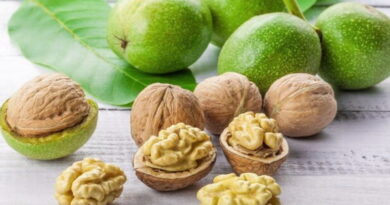 noix, noix de Grenoble, les probiotiques, les prébiotiques, les intestins, microflore,inflammation intestin