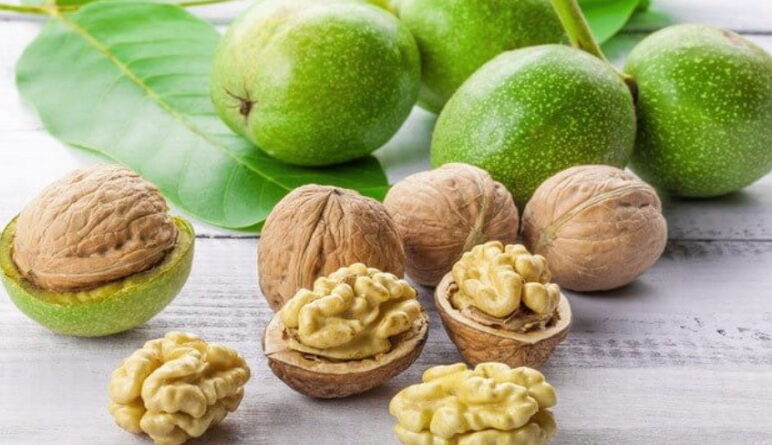 noix, noix de Grenoble, les probiotiques, les prébiotiques, les intestins, microflore,inflammation intestin