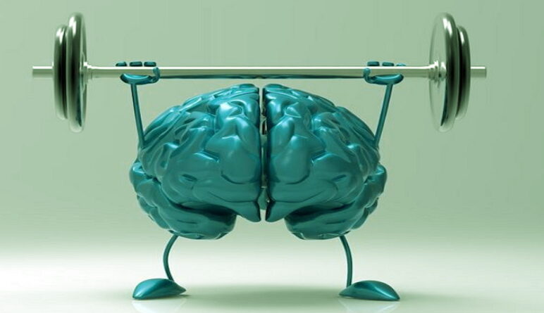 notre cerveau, comment entrainer son cerveau