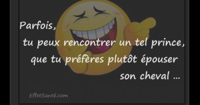 Maximes, citations, aphorismes, proverbes,