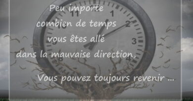 le temps, maximes, citations