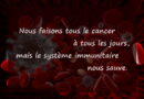 Saviez-vous que, le cancer, les lymphocytes T et B, les lymphocytes, lymphome
