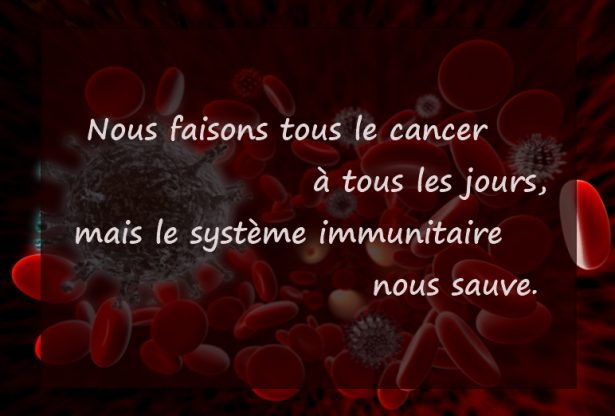Saviez-vous que, le cancer, les lymphocytes T et B, les lymphocytes, lymphome