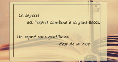 maximes, citations
