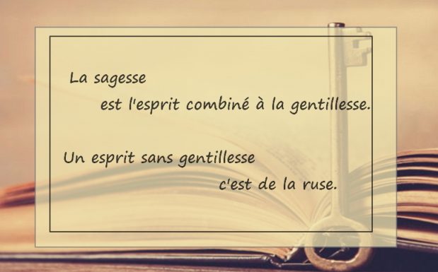 maximes, citations