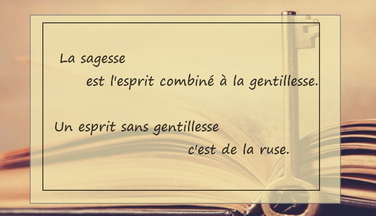 maximes, citations
