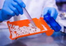 des antibiotiques, les antibiotiques