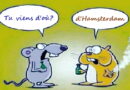 D&rsquo;Hamsterdam