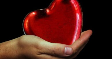 les maladies du cœur, notre cœur, cœur, infarctus, battements du cœur, maladies cardiaques