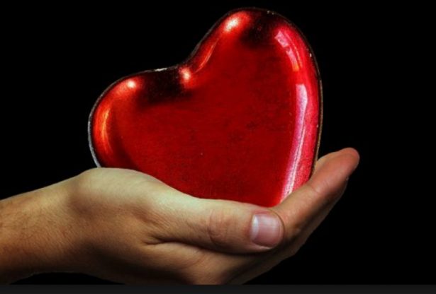 les maladies du cœur, notre cœur, cœur, infarctus, battements du cœur, maladies cardiaques