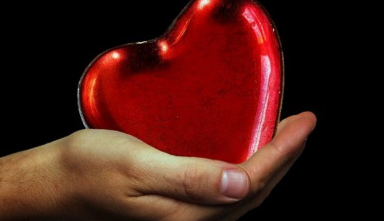 les maladies du cœur, notre cœur, cœur, infarctus, battements du cœur, maladies cardiaques
