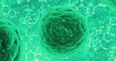 les cellules souches, traitement de cancer avec cellules souches
