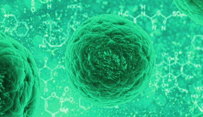 les cellules souches, traitement de cancer avec cellules souches